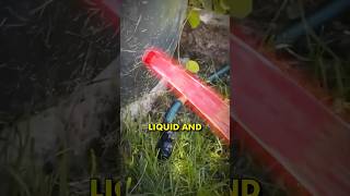 Why Does This Liquid Look Like Its Not Moving [upl. by Ahsad972]