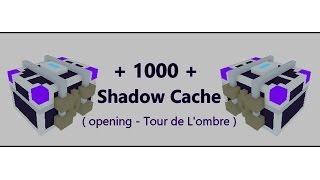 Trove 1000 Shadow Cache [upl. by Nyleikcaj380]