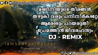 Maliniyude Theerangal DJ Remix  Malayalam DJ  Maliniyude Theerangal With Lyrics  Sudheer Kabeer [upl. by Onaivatco]