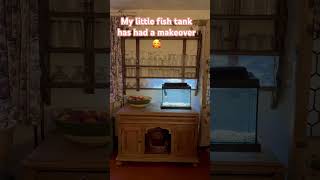 Fish Tank Set Up And Ready For Some Fish fishtank fishtankvlog fishtankideas fishtanksetup [upl. by Hax]