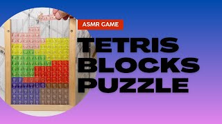 THE FUN OF ASMR PLAYING GAME TETRIS BLOCKS PUZZLE [upl. by Ralyt]