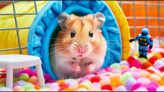 🐹 Hamster Escapes the Most Biggest Minecraft Maze 🐹 Hamster Maze [upl. by Novel]