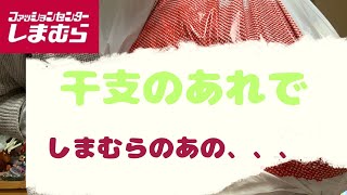 【しまむら】初売りで買ったものは，今年のアレ そして先着でアレをもらった紹介します [upl. by Atsyrt366]