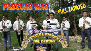 TRADICIONAL ZAPATEO ✅✅✅ MACHOS y CAPACHOS 🔴🎷EXCELENTES DEL CENTRO  4k [upl. by Derayne]