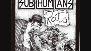 Subhumans  Rats [upl. by Ainival]