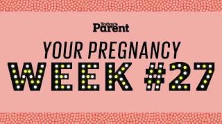 Your pregnancy 27 weeks [upl. by Greg]