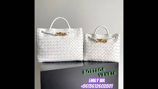 Bottega Veneta Andiamo Bags Medium VS Small [upl. by Orelia]