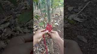 Knot Rope Trick knotskill knot short [upl. by Ahsimak916]