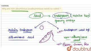 Why are nonalbuminous exalbuminous seeds so called [upl. by Sucramaj]