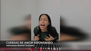 DIANETTE MENDEZ  CUERDAS DE AMOR ESPONTANEO  INSTAGRAM LIVE [upl. by Castor606]