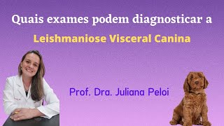 Quais exames podem diagnosticar a Leishmaniose Visceral Canina [upl. by Nelli63]