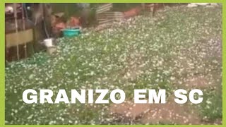 Granizo Em Timbó GrandeSC [upl. by Ainadi]