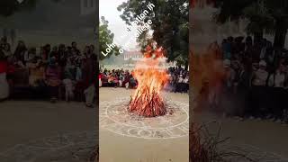 lohri celebration in over college klmehta dayanand college for women happy lohri to all shorts [upl. by Rafaelia997]