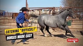 DC CATCHING quotDIFFICULTquot HORSES MADE EASY  Have Your Horse Come To You Every Time [upl. by Kanor766]