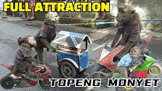 TOPENG MONYET LUCU VIRAL KELILING FULL ATTRACTION [upl. by Nagard]