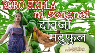 🐔 🐔 🐔 दावजों मदुफुल CHICKEN WITH PAPAYA RECIPE TASTY AND HEALTHY BORO SIKHLA NI SONGNAI [upl. by Witcher]