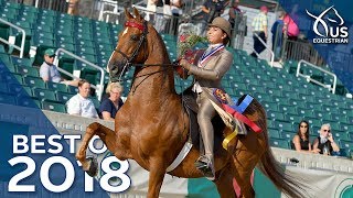 Best of 2018 Saddle Seat World Cup [upl. by Peer974]