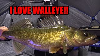 Ice Fishing Big Saskatchewan Walleye [upl. by Michele888]