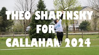 Theo Shapinsky for Callahan 2024 [upl. by Katie948]