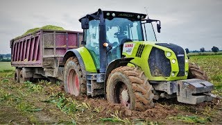 Extremalne koszenie kukurydzy 2017Mega Wtopy 3xClaas  2x CaseIH DeutzFahr [upl. by Corenda31]