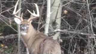 Archery Season 2010 Bowhunting Pennsylvania 3 [upl. by Eniarrol]