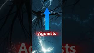 Agonists and Antagonists shortvideo shorts antagonist agonist [upl. by Yatnuahs350]