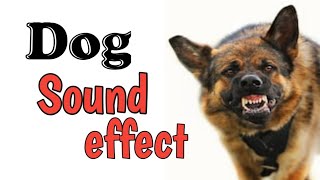 Angry Dog Sound effect  No copyright [upl. by Joye]