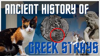 The Fascinating History Of Stray Cats In Greece [upl. by Orme]