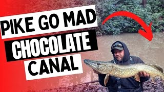 Pike went CRAZY in Chocolate Canal  Dannys Angling Blog [upl. by Cristal]