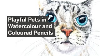 Class Preview  Playful Pets in Watercolour and Coloured Pencils Dena Marshall [upl. by Larimore267]