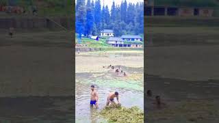 Kamrunag Temple Lake Cleaning After Many Years A Sacred Revival KamrunagTemple LakeCleaning song [upl. by Treblig173]