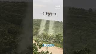 Are Agricultural Drones Really the Future of Farming [upl. by Reni364]