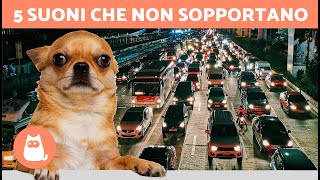 I 5 SUONI che i CANI ODIANO di più 🐶🔊❌ Non li sopportano [upl. by Elleirua]