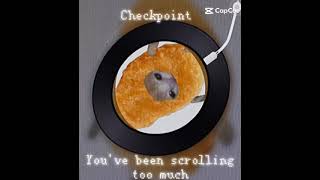 Check point You should stop scrolling checkpoint [upl. by Shull]