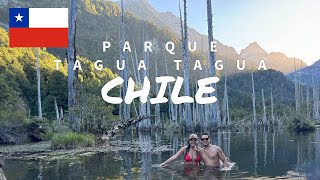 🌎Cómo llegar y que ver en el parque TAGUA TAGUA Chile Un destino imperdible [upl. by Carmelia]