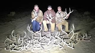 Shed Hunting Utah [upl. by Trescott]