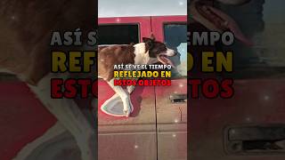 ¡ASÍ se VE el PASO DEL TIEMPO en estos OBJETOS tiempo objeto shorts [upl. by Kent]