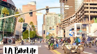 DOWNTOWN LA BIKE LIFE Riding through Downtown Los Angeles CA [upl. by Ailime]