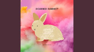 Scared Rabbit [upl. by Aivital]