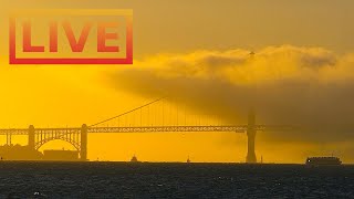 🔴 San Francisco Skyline LIVE · hosted by Mersea Restaurant 🌴 Treasure Island [upl. by Walford]