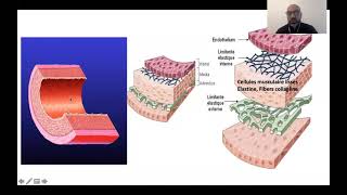 01 Rhumatisme ariculaire aigu Dr M Chettibi  Cardio [upl. by Dick]