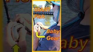 Giant Salmon Baby Tackle fishing lakemichiganfishing greatlakes [upl. by Cassil]