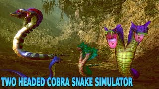 🐍Two Headed Cobra Snake Simulator By Yamtar GamesAndroid [upl. by Elizabet]