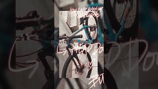 Projetinho em andamento bikes aro29 grau fy viralvideo [upl. by Cassidy]