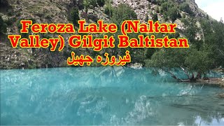 Feroza Lake Naltar ValleyGilgit Baltistan Hunza ValleyLakes of Pakistan [upl. by Papotto]