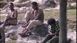 TIGRINA MUSIC 15 mekele ETHIOPIA [upl. by Tnecnev]