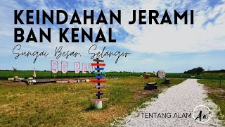 Keindahan Jerami Ban Kenal Sungai Besar [upl. by Glantz]