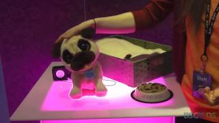 Furreal Friends JJ Jumpin Pug Pet [upl. by Drusi]