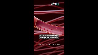 Restoring Blood Flow amp Oxygen with LiveO2 🌬️💪quot [upl. by Leterg]