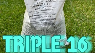 Before you buy Scotts Watch this‼️🔥fertilizer lawncare grass howto tipsandtricks lawnlife [upl. by Annayoj230]